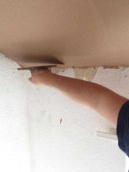 plasterer  fibrous plasterer