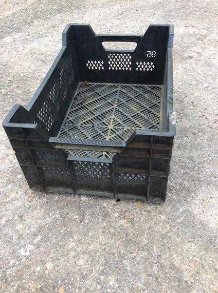 Plastic crate (large)