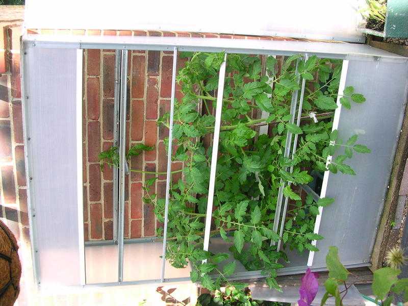 Plastic lean-to wall mounted greenhouse.