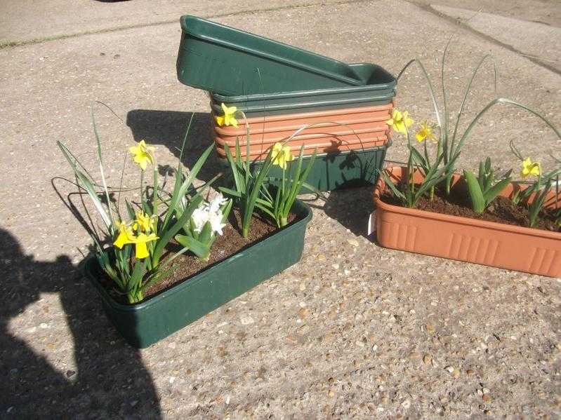 Plastic Planters