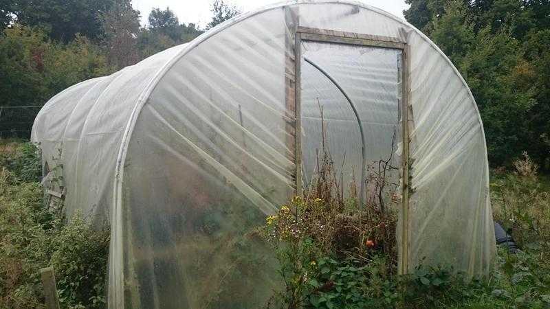 Polytunnels