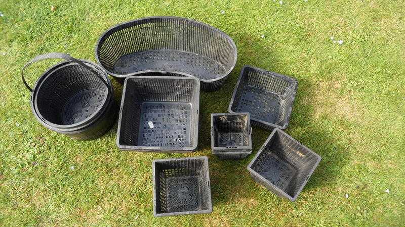 Pond baskets - FREE TO COLLECTOR