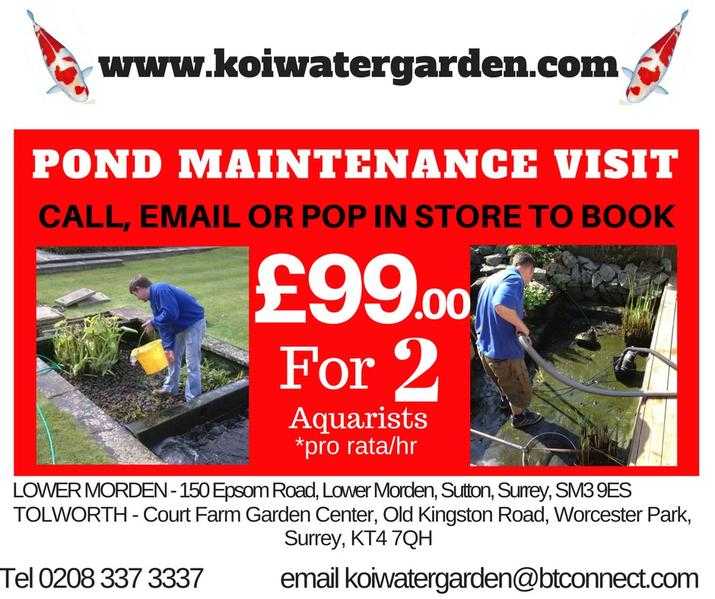 Pond Maintenance Visits Available