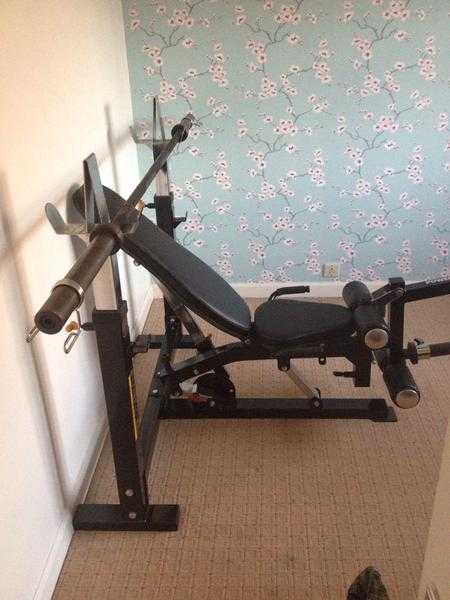 Powertec Workbench Olympic Bench With Squat Rack And Leg Attachment  7039 Bar