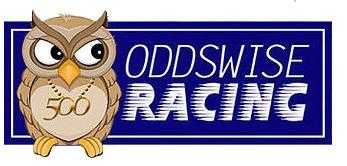 Premium Horse Racing Tips from Oddswise Racing