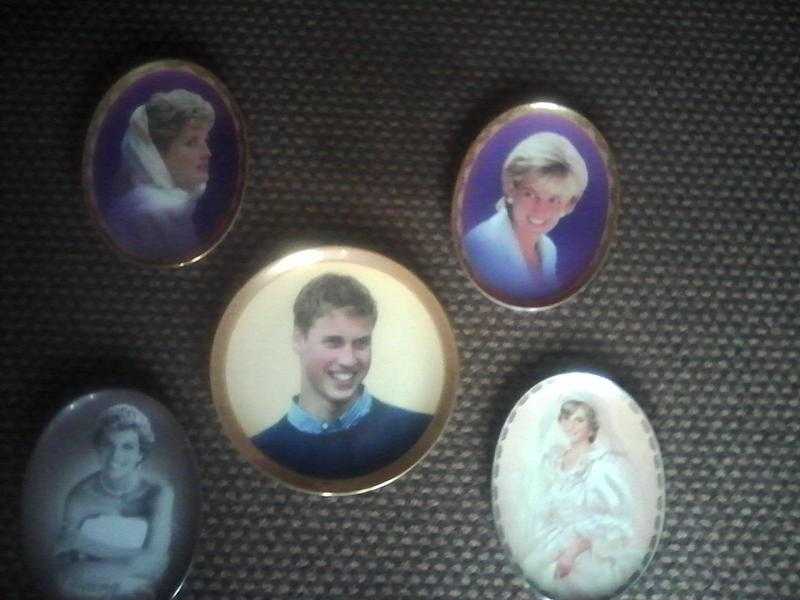 princess diana collector plates set of 5