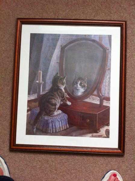 Print of Kitten in Glass Wooden Frame