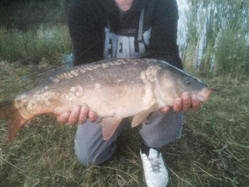 Private fishing lake stocked with CARP. 1 Acre aprox