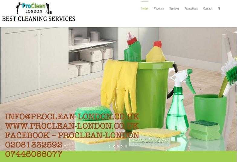 Profesional cleaning service