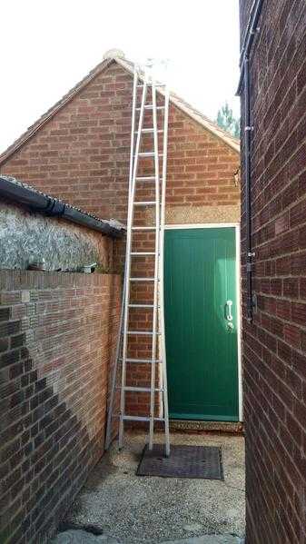 Professional aluminium window cleaning ladders