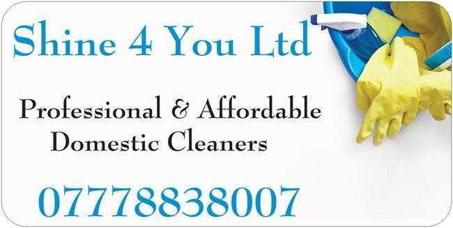 Professional amp affordable Domestic Cleaners