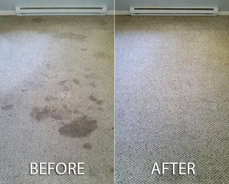 Professional carpet amp upholstery and end of tenancy cleaning