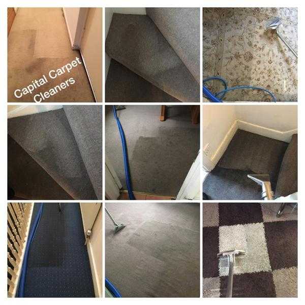 Professional Carpet and Upholstery cleaning