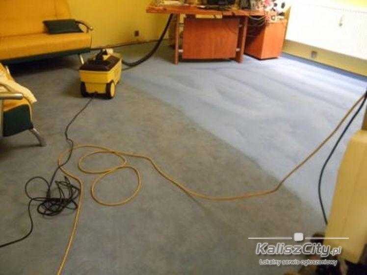 PROFESSIONAL CARPET CLEANER