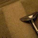 Professional Carpet Cleaning in Croydon