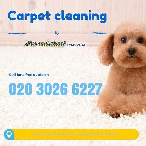 Professional carpet cleaning Kensngton