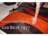 Professional Carpet Cleaning Services Watford