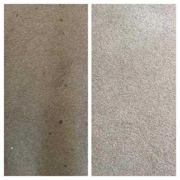 Professional carpetampupholstery cleaning, end of tenancy cleaning