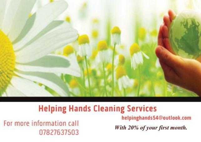 Professional cleaning services