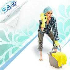 Professional cleaning services in London