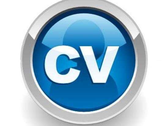 Professional CV Writing Service amp Free CV Review