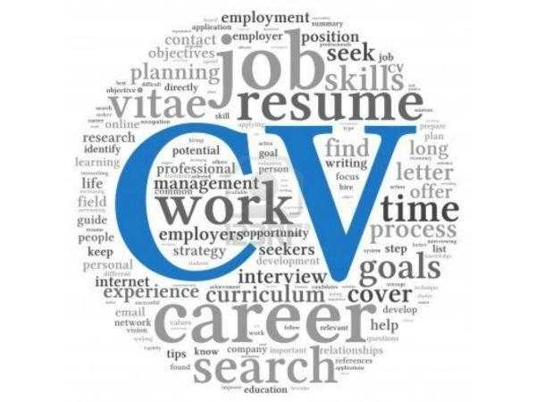 Professional CV Writing Service amp Free CV Review