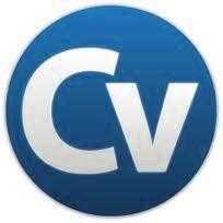 Professional CV Writing Service amp Professional Covering Letters