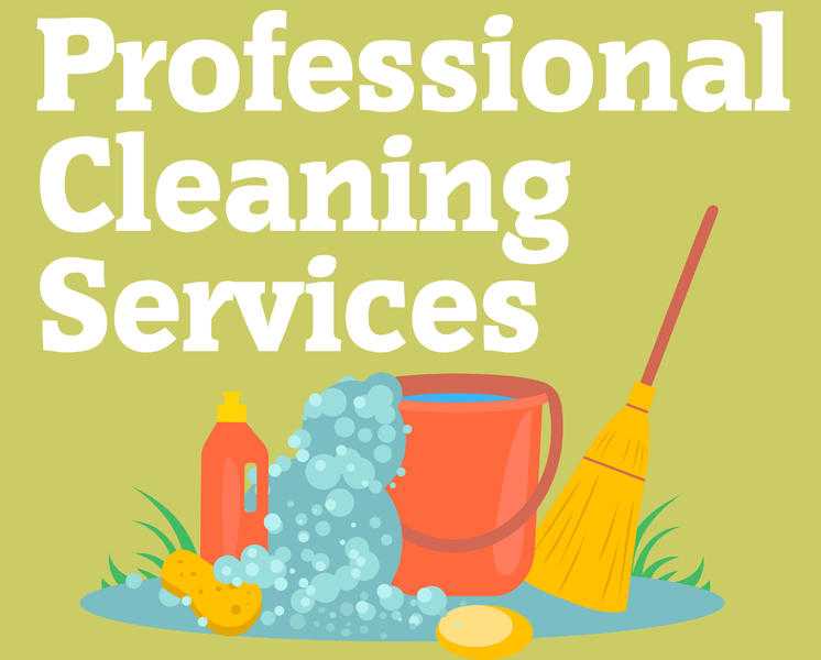 Professional Domestic Cleaning Services