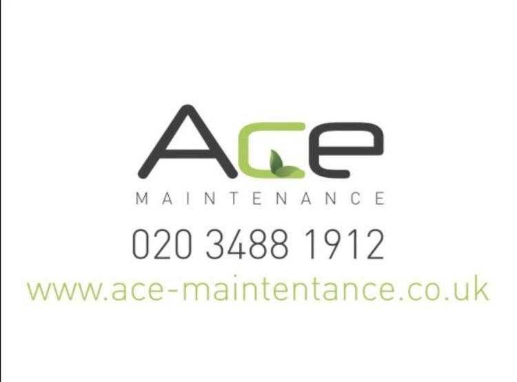 Professional Garden Maintenance and cleaning services