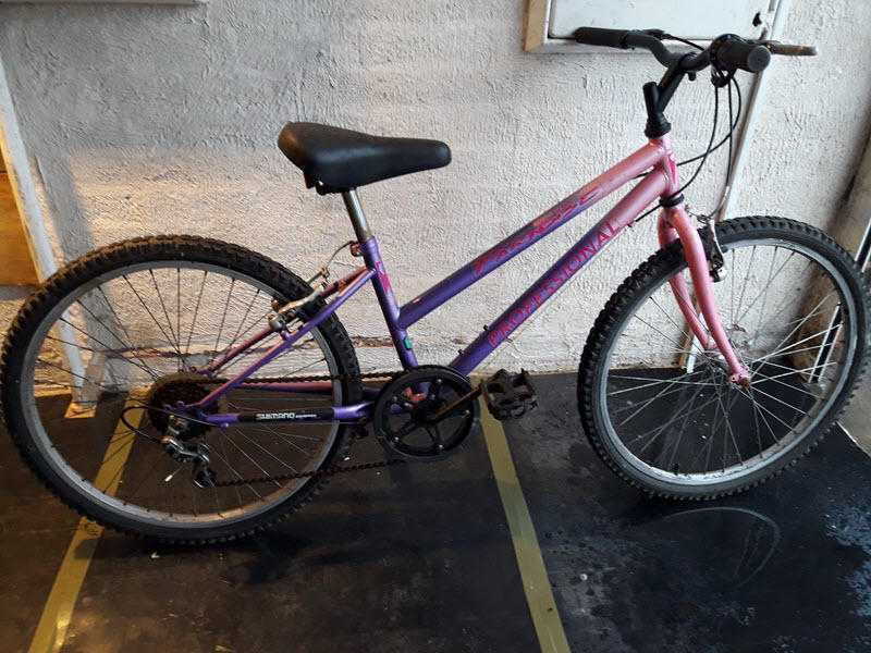 Professional Girls Ladies Bike. 5 speed. 24 inch wheels (Suit 10 yrs to 13 yrs).