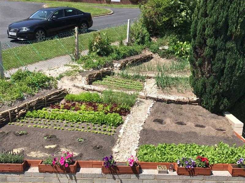 Professional Landscape Gardener High quality gardening services