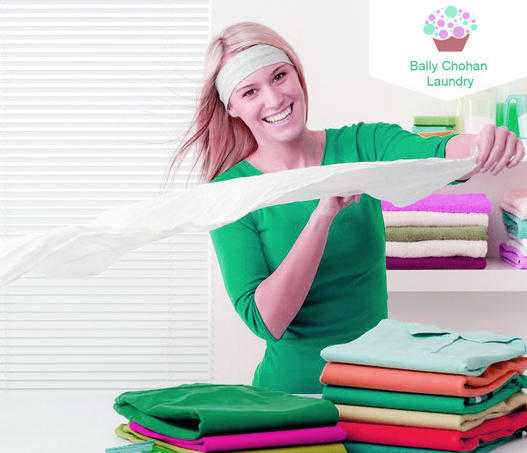 Professional Laundry amp Dry Cleaning Services - Bally Chohan Laundry