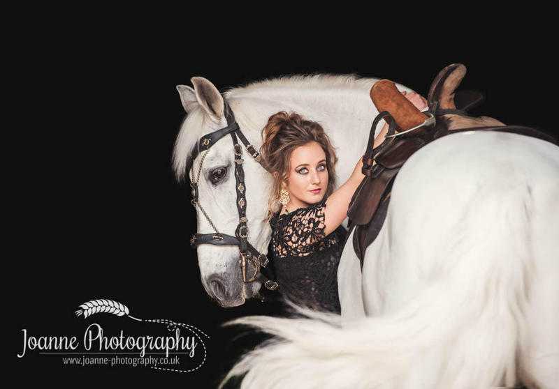Professional Photographer - Equine - Pets - Portraits