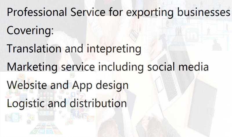 Professional Translation and marketing service for UK exporting businesses with Free package