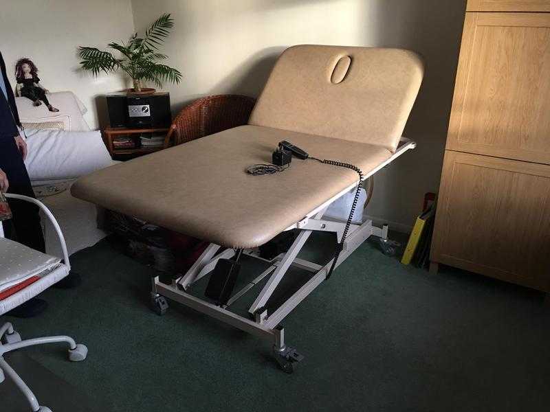 Professional Treatment and Examination Couch