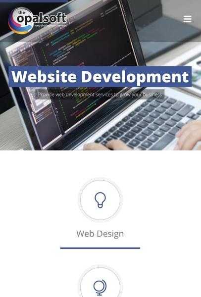 Professional web developer with Seo Speacialist