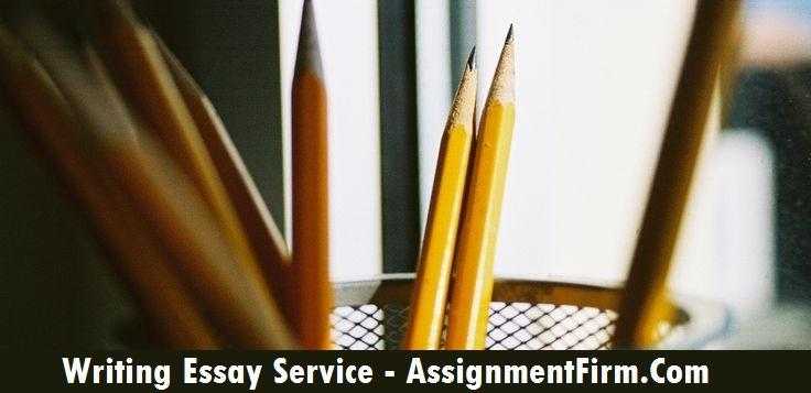 Professional Writing Essay Service At Affordable Price