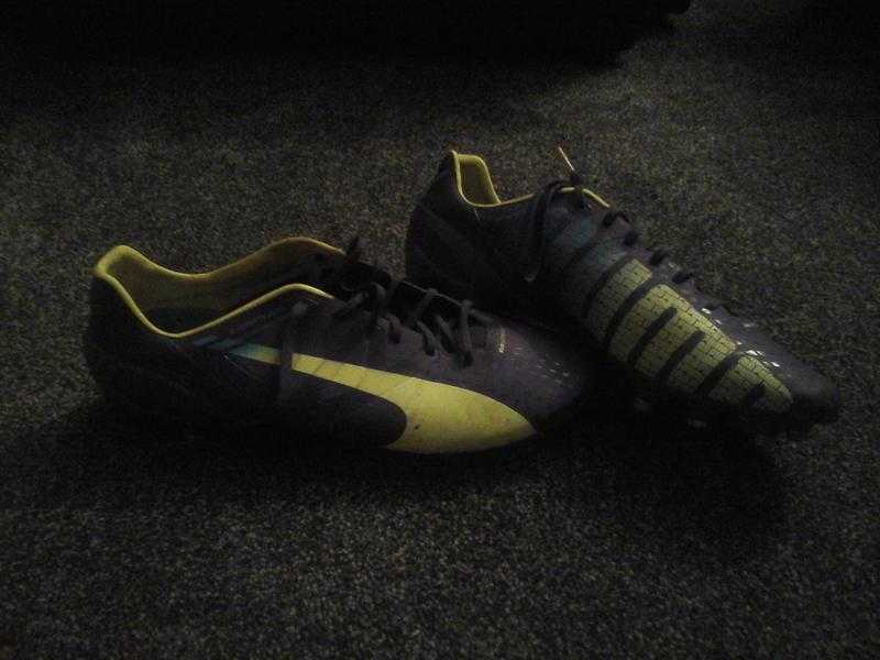 puma evospeed football boots