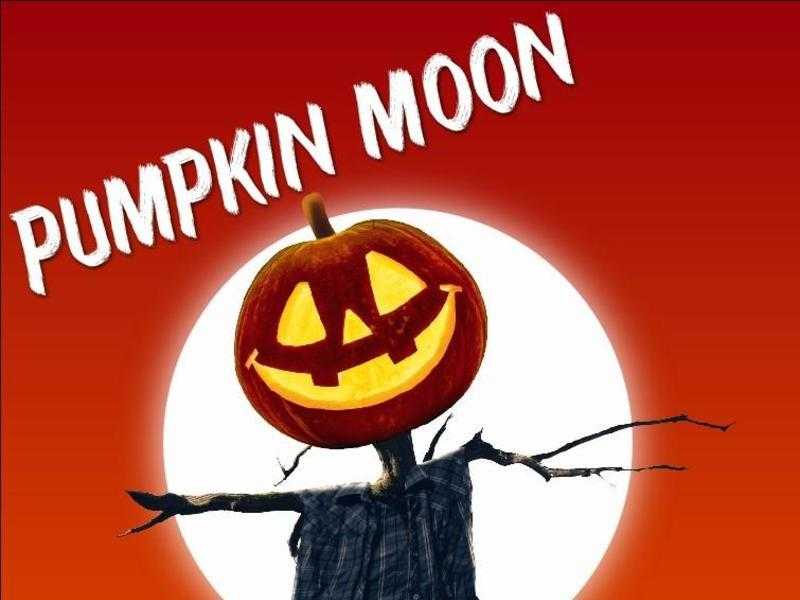 Pumpkin Moon PYO Pumpkins