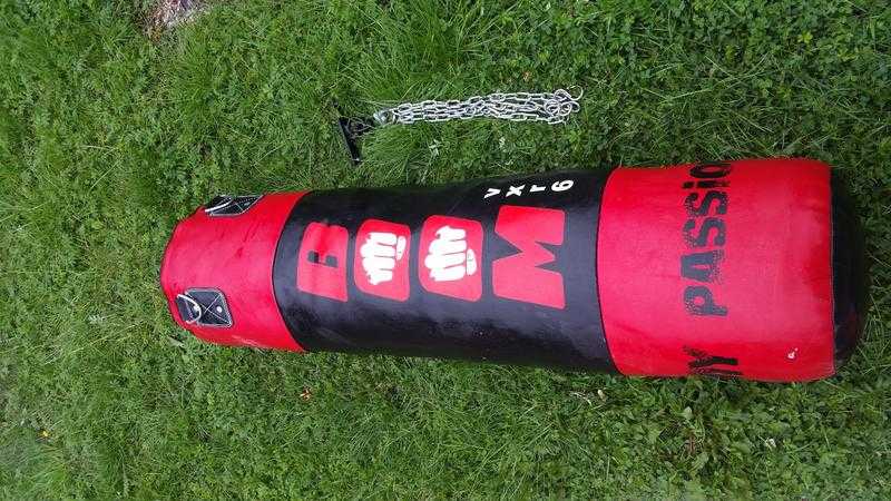 Punch bag with gloves