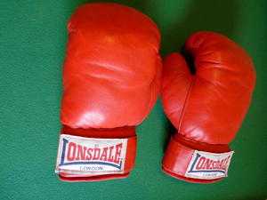 Punchbag and boxing gloves