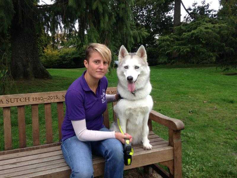 Puppy classes Beeching Animal Behaviour consultancy