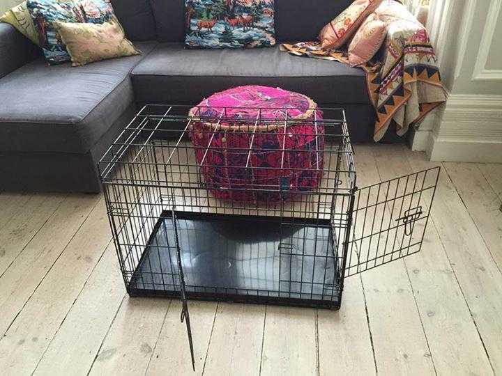 Puppy Crate