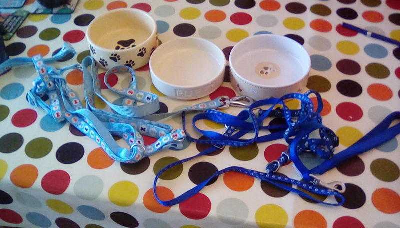 Puppy leads,bowls