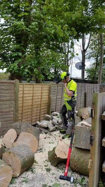 Qualified Tree surgeon and garden clearance .