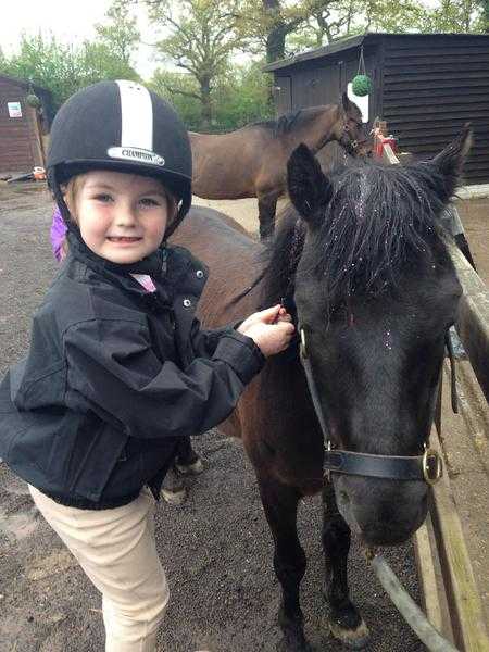 Quarry Farm - Riding School