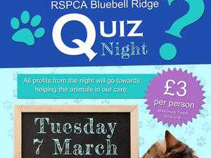 Quiz Night