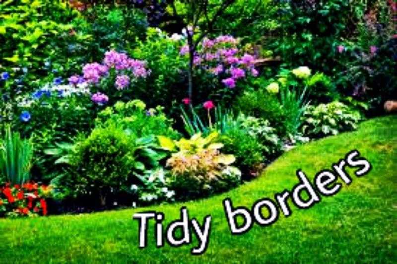 quotTidy bordersquot - gardening services
