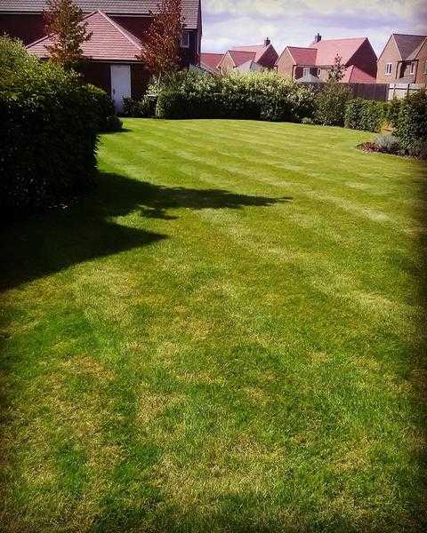 R amp J Landscapes ( Pagham ) Garden services