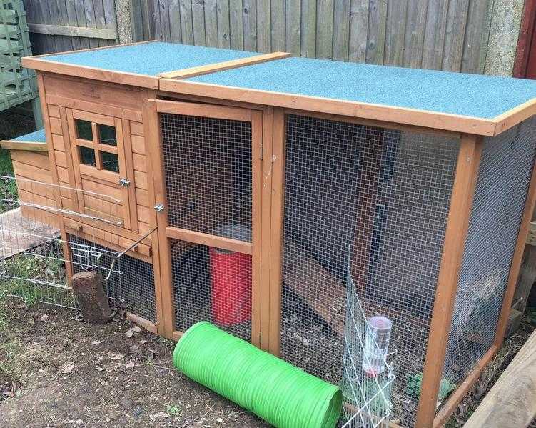 rabbit cage and run chicken coop style withwithout rabbits